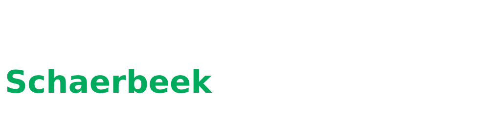 Serrurier Schaerbeek Logo